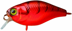 ILLEX CHUBBY 38  RED CRAW