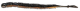 Quantum The Dude Worm 16cm Black mit Fisch-Aroma, 5 Stück