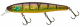 ILLEX ARNAUD 110 F HL GOLD PERCH, Abverkauf
